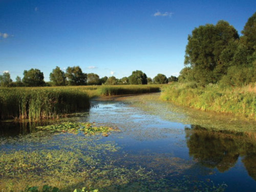 Parco naturale Kopački rit